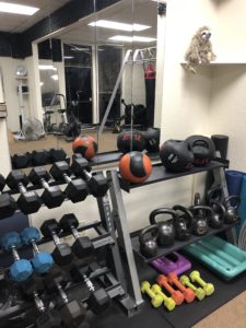 Dumbbells and Kettlebells